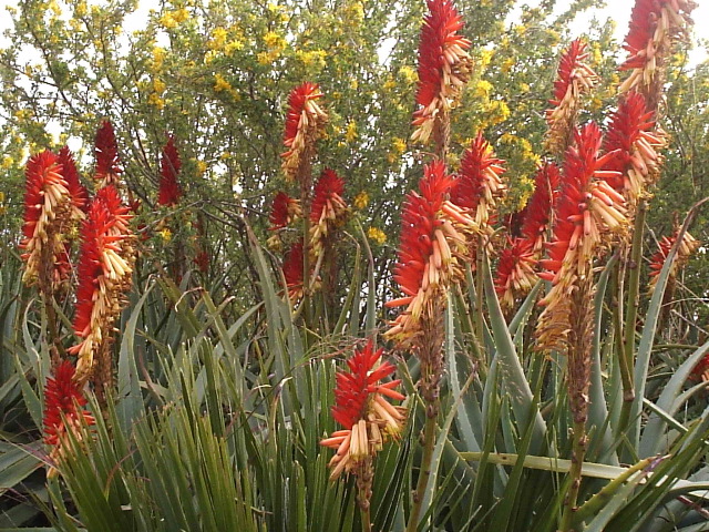 P3100001.JPG