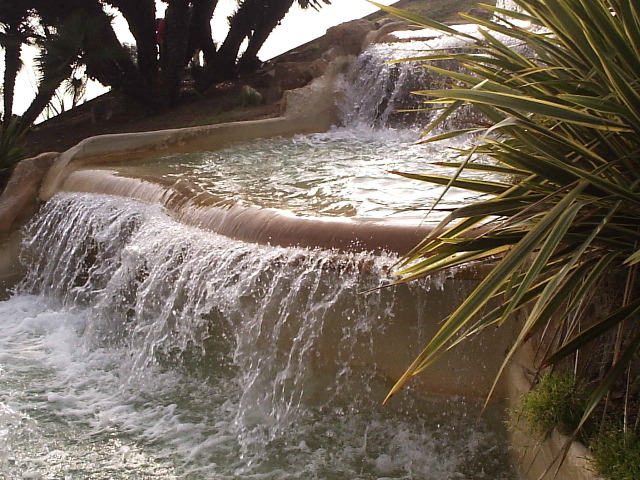 P3100002.JPG
