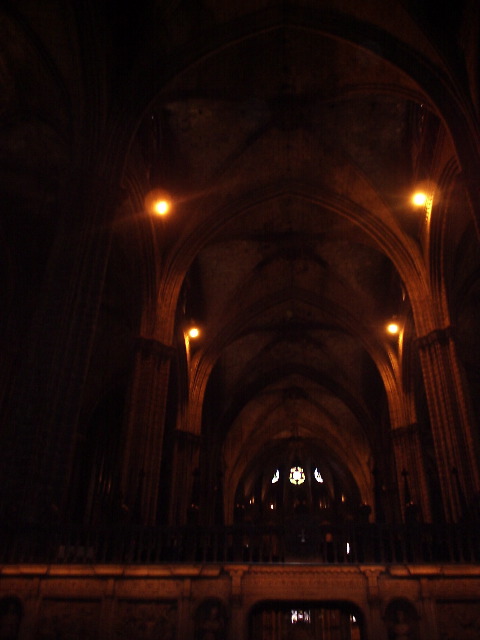 P3100008.JPG