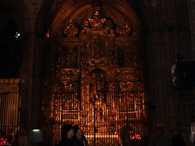 P3100010.JPG