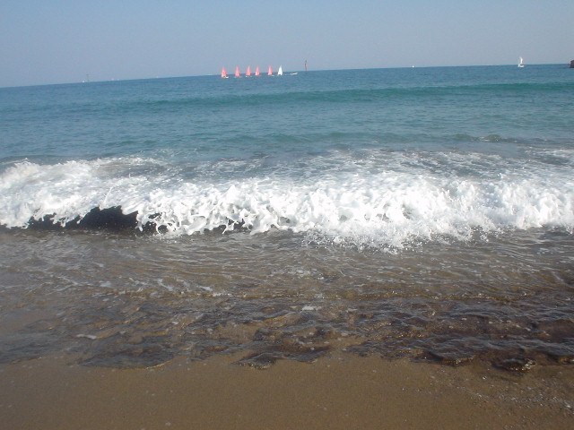 DSC00133.JPG