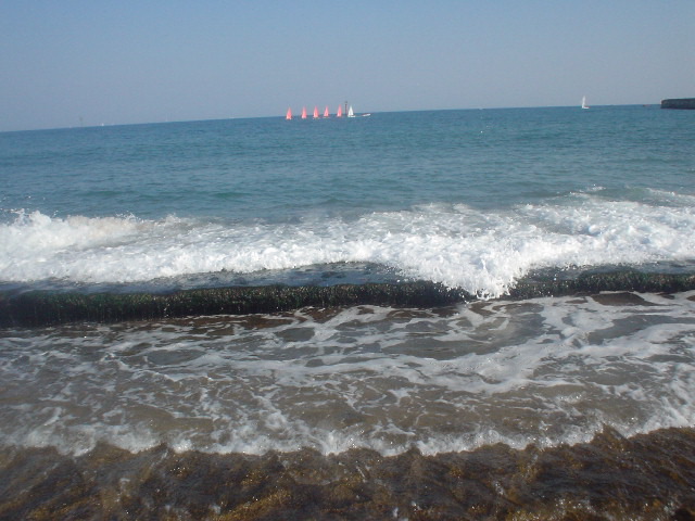 DSC00135.JPG