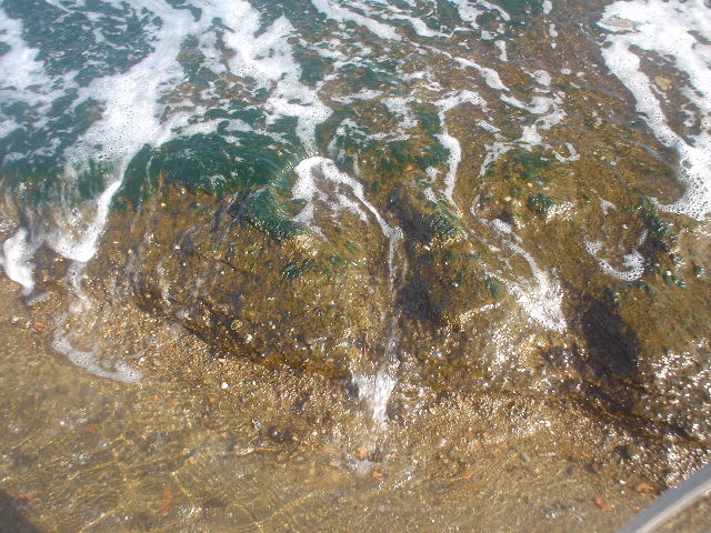 DSC00136.JPG