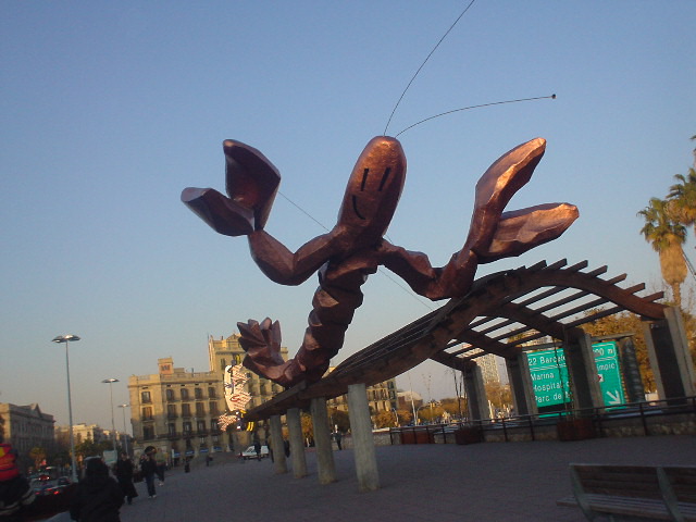 DSC00140.JPG