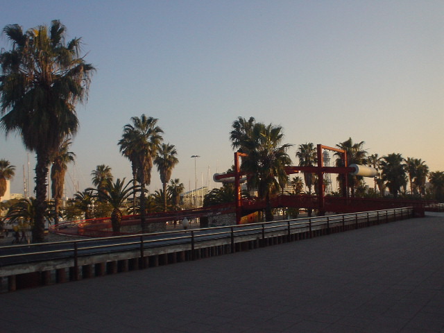 DSC00142.JPG