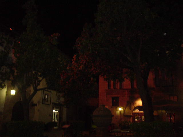 DSC00155.JPG
